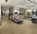 beige-negozio