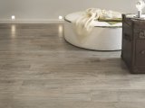 grey-amb-8-07
