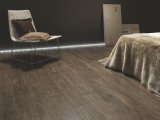 log-brown-amb-7